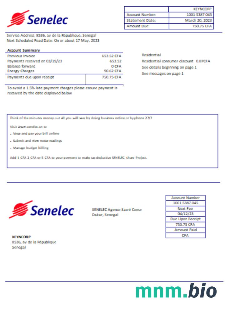 Senelec Agence Sacré Coeur Company electricity rachunek za usługi komunalne